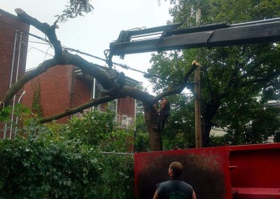 Camion-a-grue-pour-emondage-Service-emondage-a-Laval-Abattage-Arbres-Laval