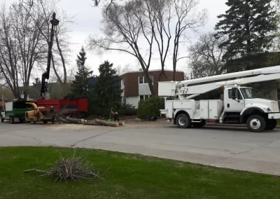 Coupe-et-abattage-arbre-à Laval / Abattage Arbre Laval