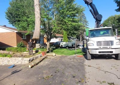 Service-émondage-a-Blainville-Abattage-Arbre-Laval