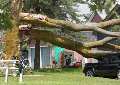 Abattage-des-arbres-dangereux / Abattage-arbre-Laval