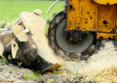 dessouchage-arbre-Laval-abattage-arbre-Laval